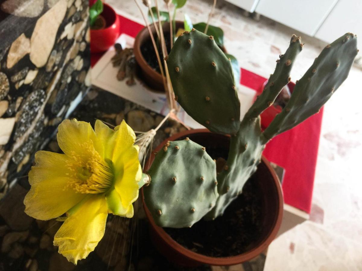 Trinaco B&B カターニア エクステリア 写真